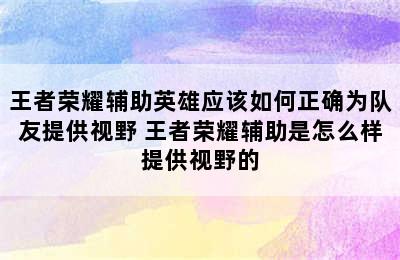 王者荣耀辅助英雄应该如何正确为队友提供视野 王者荣耀辅助是怎么样提供视野的